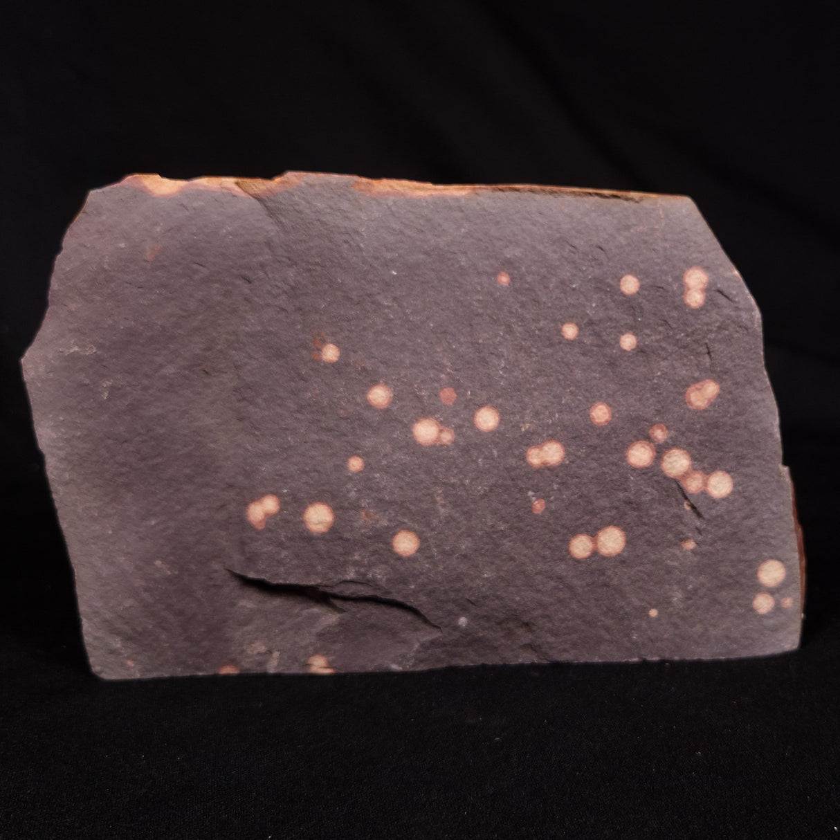 ASTRONOMITE, Australia XAS011