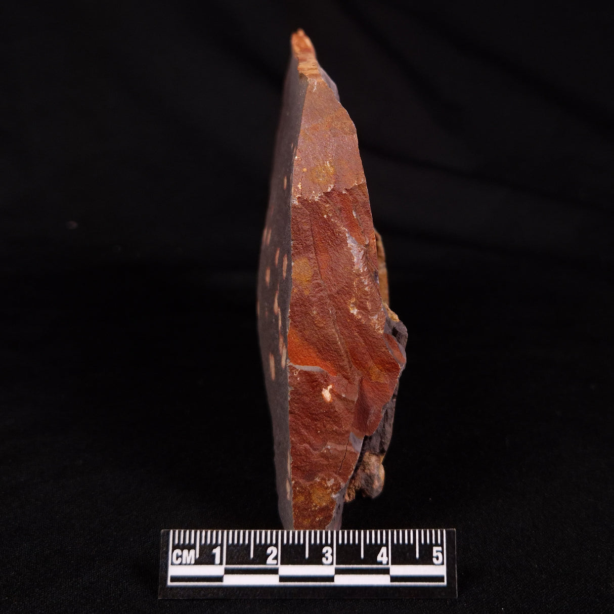 ASTRONOMITE, Australia XAS011