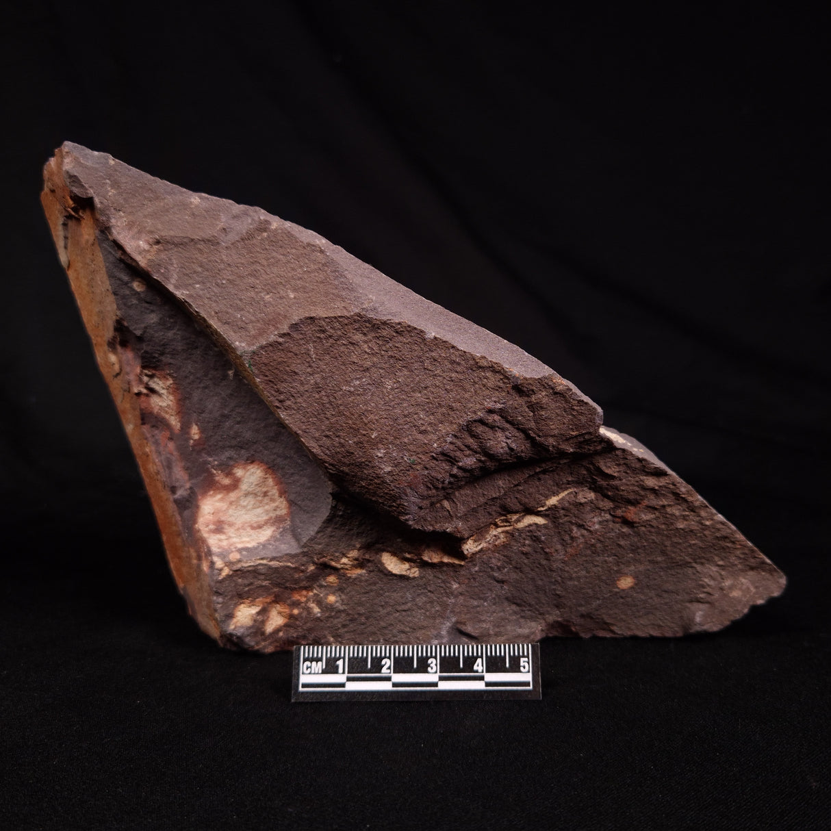 ASTRONOMITE, Australia XAS012