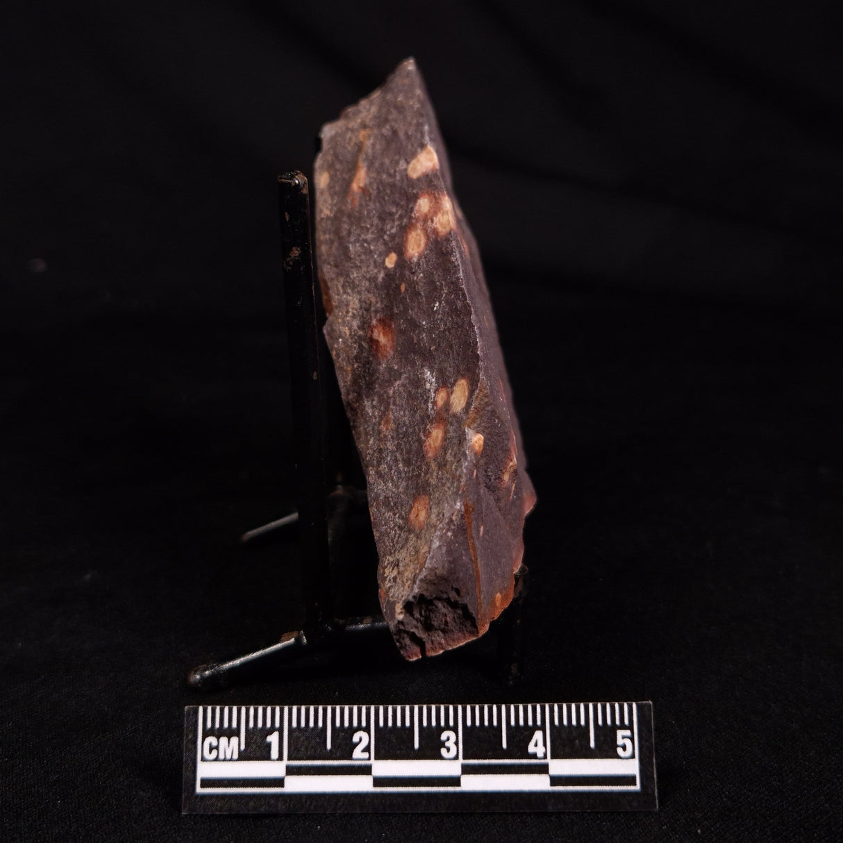 ASTRONOMITE, Australia XAS013