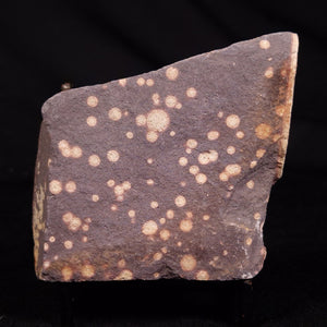 View All Stromatolites