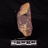 ASTRONOMITE, Australia XAS014