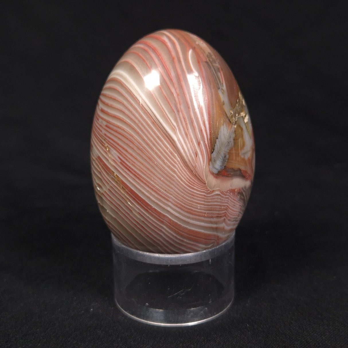 RIBBON STONE EGG, Australia YMS002