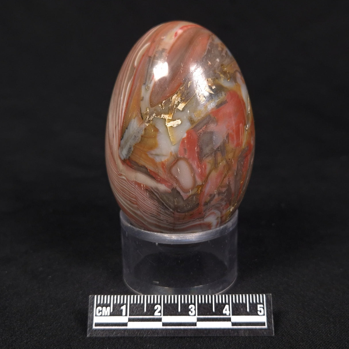 RIBBON STONE EGG, Australia YMS002