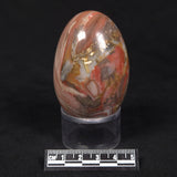 RIBBON STONE EGG, Australia YMS002