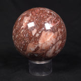 CRINOID MARBLE SPHERE, Australia YMS004