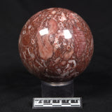 CRINOID MARBLE SPHERE, Australia YMS004