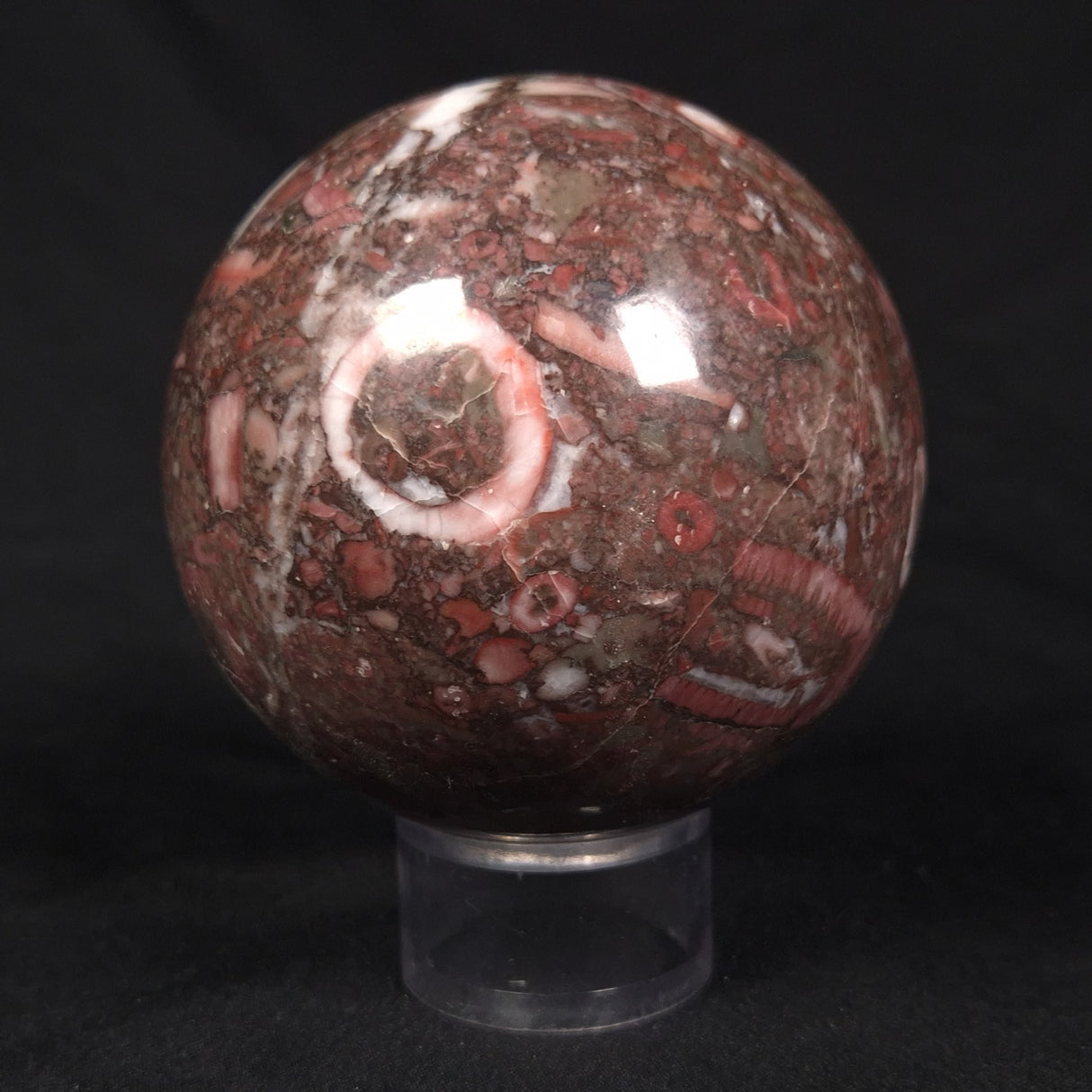 CRINOID MARBLE SPHERE, Australia YMS005