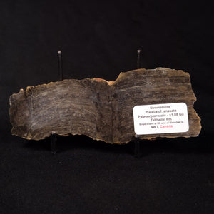 Platella of Anasata