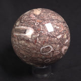 CRINOID MARBLE SPHERE, Australia YMS011