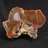 POLISHED AGATE, Agate Creek, Australia YAC025