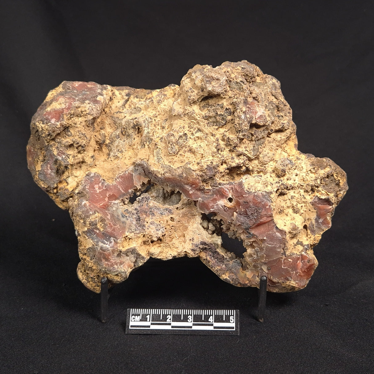 POLISHED AGATE, Agate Creek, Australia YAC025