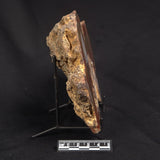 POLISHED AGATE, Agate Creek, Australia YAC025