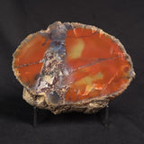 POLISHED AGATE, Agate Creek, Australia YAC026