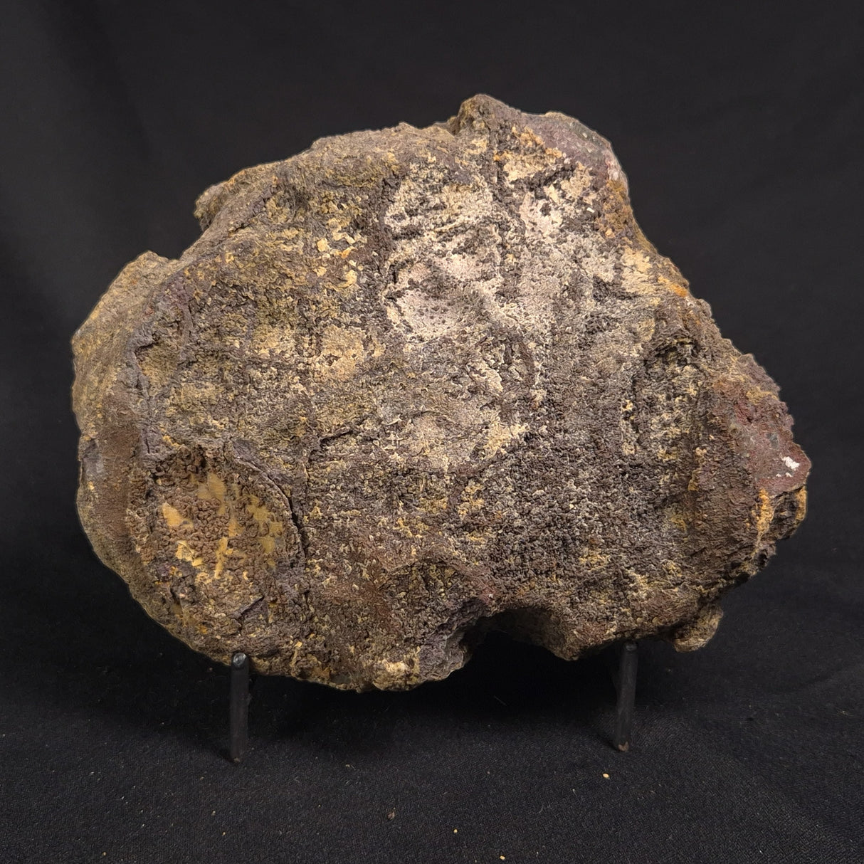 POLISHED AGATE, Agate Creek, Australia YAC027