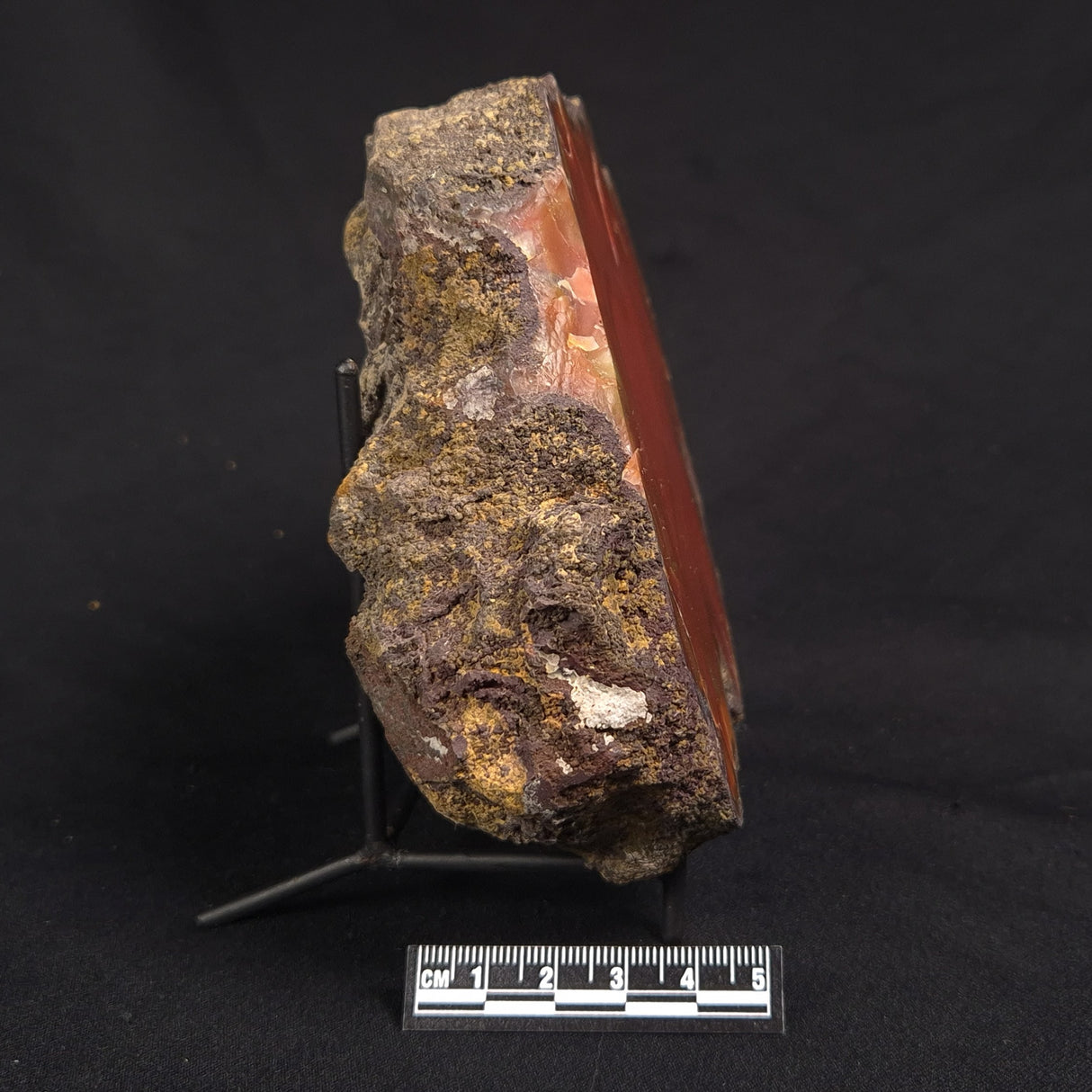 POLISHED AGATE, Agate Creek, Australia YAC027
