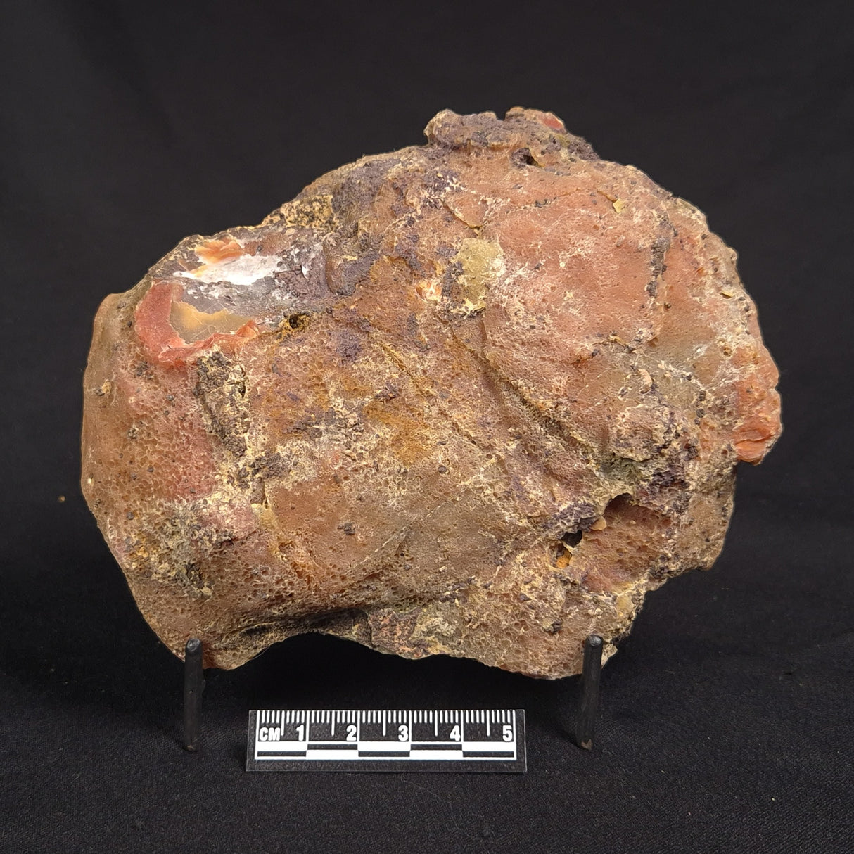 POLISHED AGATE, Agate Creek, Australia YAC028