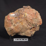 POLISHED AGATE, Agate Creek, Australia YAC028