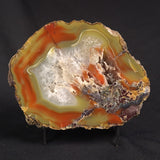 POLISHED AGATE, Agate Creek, Australia YAC029