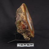 POLISHED AGATE, Agate Creek, Australia YAC029