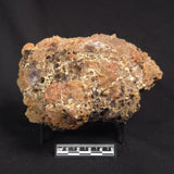POLISHED AGATE WITH AMETHYST, Agate Creek, Australia YAC030