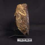 POLISHED AGATE WITH AMETHYST, Agate Creek, Australia YAC031