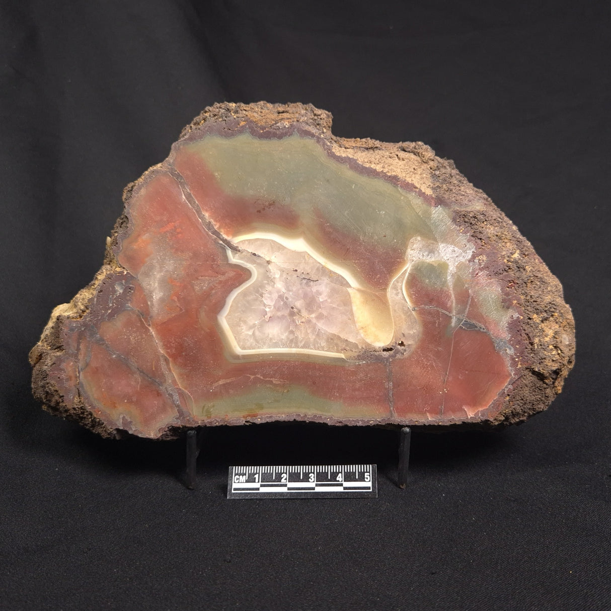 POLISHED AGATE, Agate Creek, Australia YAC032
