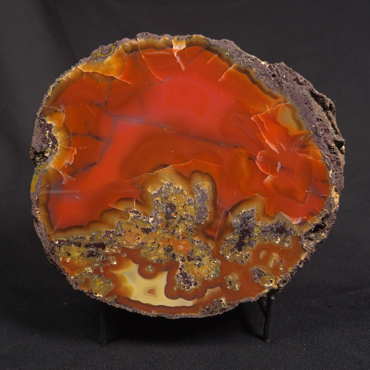 POLISHED AGATE, Agate Creek, Australia YAC034