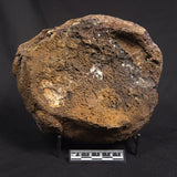 POLISHED AGATE, Agate Creek, Australia YAC034
