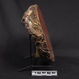 POLISHED AGATE, Agate Creek, Australia YAC034
