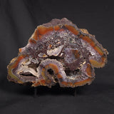 POLISHED AGATE WITH AMETHYST, Agate Creek, Australia YAC035