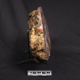 POLISHED AGATE WITH AMETHYST, Agate Creek, Australia YAC035