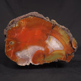 POLISHED AGATE, Agate Creek, Australia YAC036