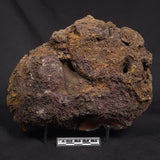 POLISHED AGATE, Agate Creek, Australia YAC036
