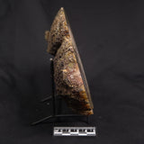 POLISHED AGATE, Agate Creek, Australia YAC037