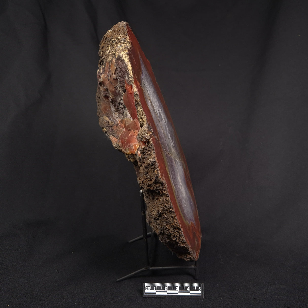 POLISHED AGATE WITH AMETHYST, Agate Creek, Australia YAC038