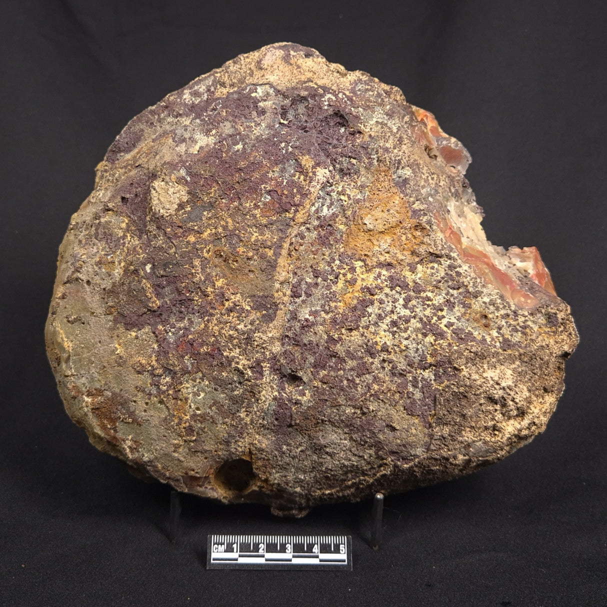 POLISHED AGATE, Agate Creek, Australia YAC039
