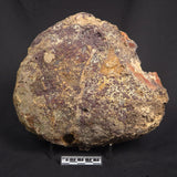 POLISHED AGATE, Agate Creek, Australia YAC039