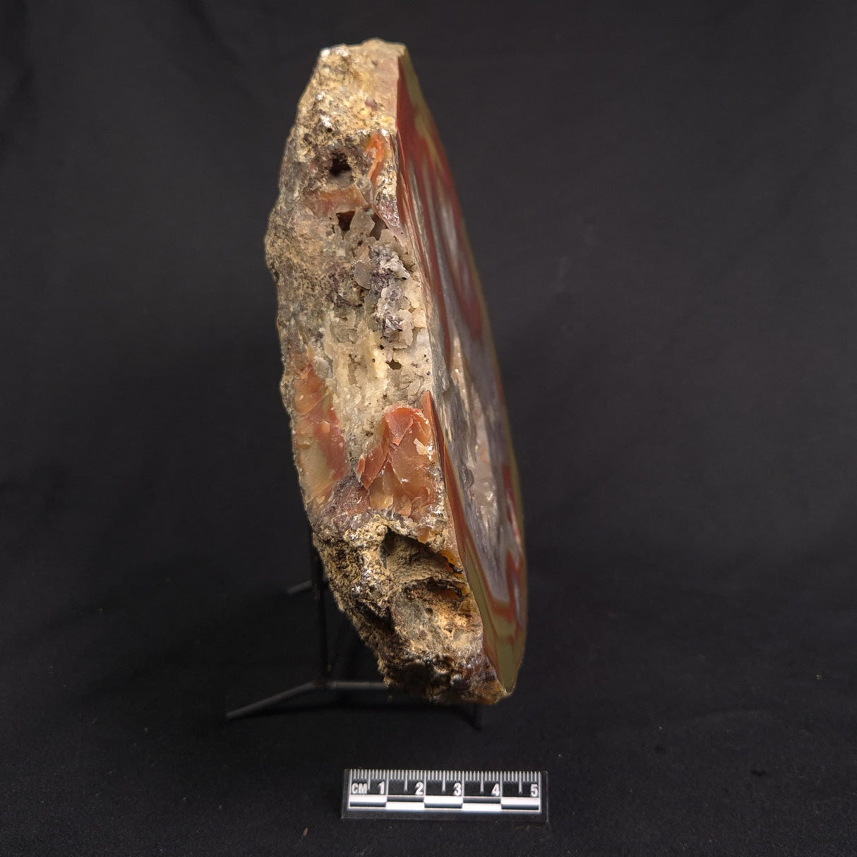 POLISHED AGATE, Agate Creek, Australia YAC039