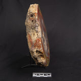 POLISHED AGATE, Agate Creek, Australia YAC039