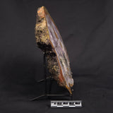 POLISHED AGATE WITH AMETHYST, Agate Creek, Australia YAC040