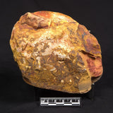 THUNDER EGG, Australia YSC146