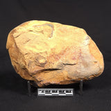 THUNDER EGG, Australia YSC147