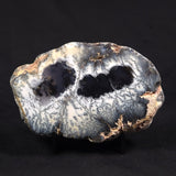 DENDRITIC CHALCEDONY (MERLINITE), Australia YSC149