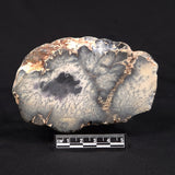 DENDRITIC CHALCEDONY (MERLINITE), Australia YSC149