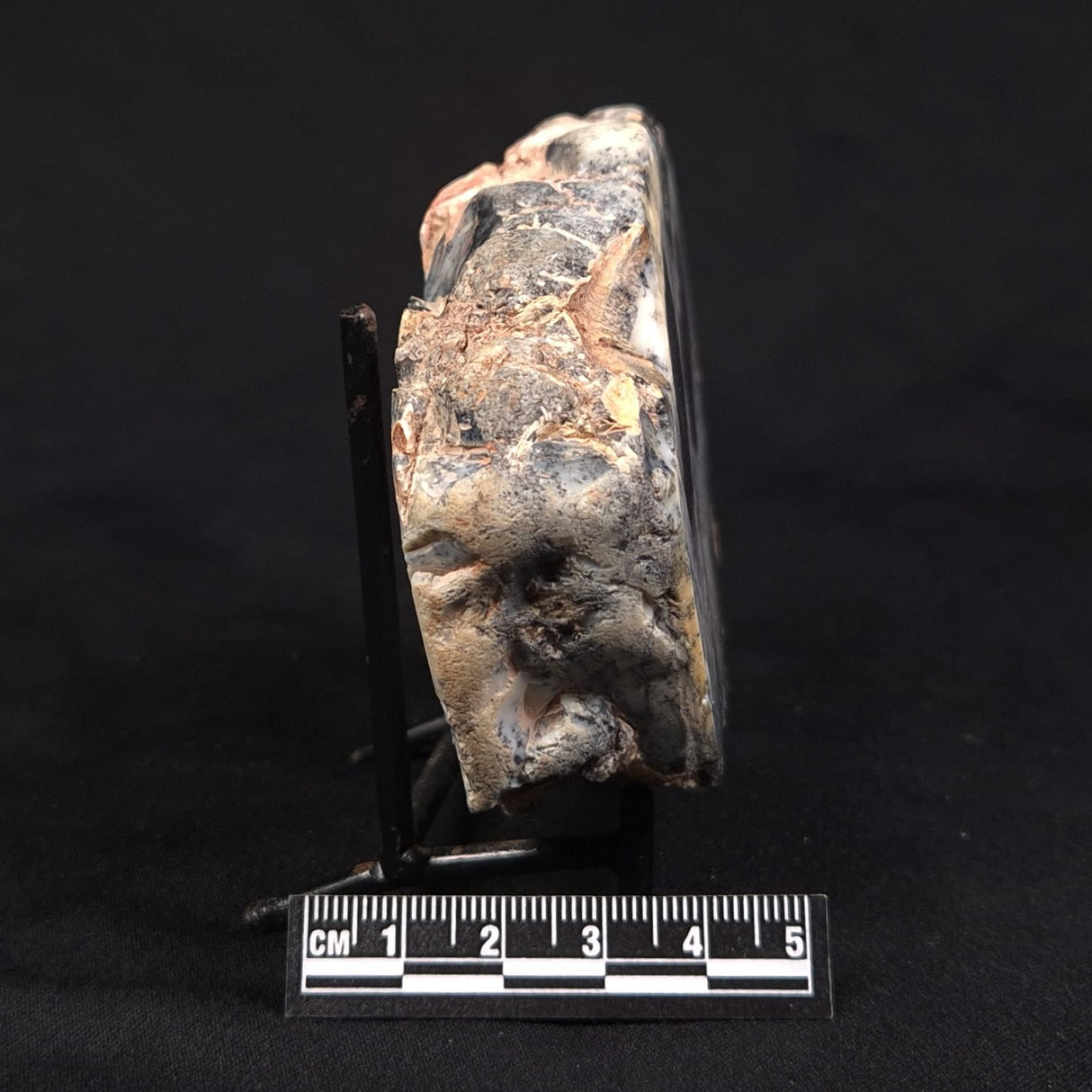 DENDRITIC CHALCEDONY (MERLINITE), Australia YSC149