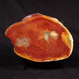 PARABURDOO POD, Australia YSC156