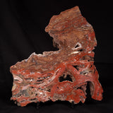 CONOPHYTON BASALTICUM STROMATOLITE, Australia ZCB039