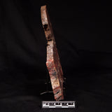 CONOPHYTON BASALTICUM STROMATOLITE, Australia ZCB039