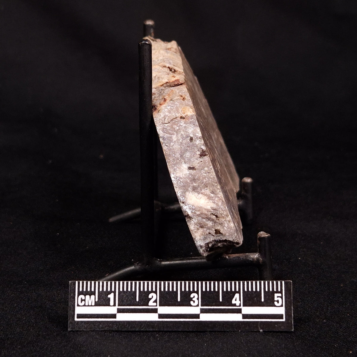 CONOPHYTON BASALTICUM STROMATOLITE, Australia ZCB048
